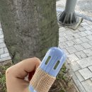 고봉민김밥인 조대병원점 | 9월달 일을 내가 어.떻.게 기억하냐고