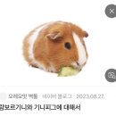 영원한여름을찾아