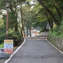 봉서사 | 서천 전통사찰 보물을 품고있는 봉서사