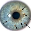 1월 17일~18일(136회) 티베탄 요가- 위장, 차크라와 오라 방어막 만들기, 뉴 하트 차크라, 현대 치유명상 베스트... 이미지