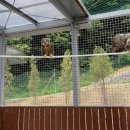 경기도야생동물구조관리센터 이미지