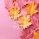 우리집동물병원 이미지