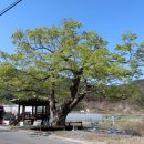 예림서원 이미지