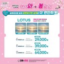 으뜸플러스안경평택소사벌점 이미지