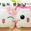 행운공구