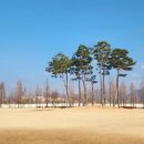 장애인파크골프장 화장실 이미지