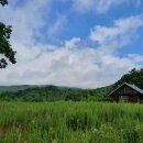 대관령 하루 이미지