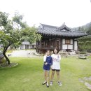 새금다정자 이미지