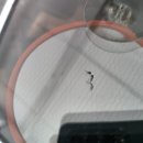 서울차유리 이미지