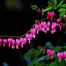 오월이네 이미지