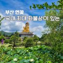 송정리 막국수 | 부산 사찰 홍법사 절 연꽃