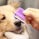 스테이동물병원 이미지