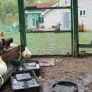 수명농장 이미지