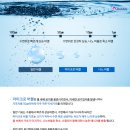 버블버블 이미지