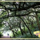 웃뜨르빛센터 이미지