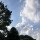 홍천강아침의향기펜션 이미지