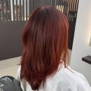 강남역미용실 살롱드라피네 레드염색