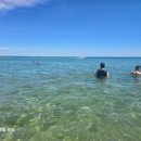 아침바다 콘도텔 이미지