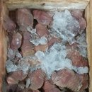 효창부채