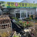 평안꽃식물원 이미지