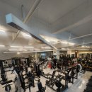 로드핏 경산점 헬스 PT | 경산 사동 헬스장 넓어서 몰입되는 곳! 초보부터 고수까지 강추!