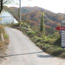 늘푸른농원 이미지