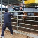 대동축산 이미지