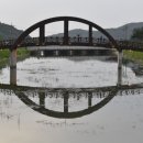 상사화피는마을 이미지