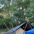 논산 탑정호글램핑 이미지