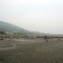 선두4리항 이미지