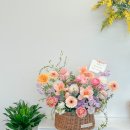 아뜰리에 몽 이미지