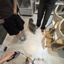 뽀미까까 이미지