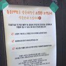 동명식빵 | 동명동 곱창 맛집 돌곱1991 동명직영점 방문 후기