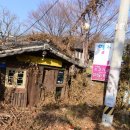 동네파전