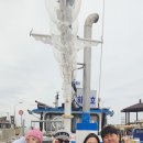 하나호