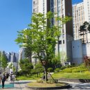 동네커피 포레스티아점 | 성남 숲세권 아파트 산성역자이푸르지오 임장 후기 (포레스티아와 비교)