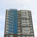 다온미즈 이미지