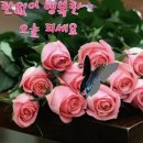 악출허