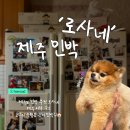 낙조민박 - 화성시 해안길 300 | 제주도 민박 추천 로사네 / 제주 서쪽 숙소 고산리 수월봉 근처 민박집