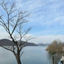 [용인 뷰 좋은 카페] 물멍하기 좋은 햇살가득 통창 베이커리 카페 ‘그린웨일’ 후기 / 주의사항까지!