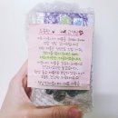 애정아로니아 이미지