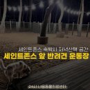 강원도 강릉 세인트존스 호텔 앞, 강릉시 반려견 운동장에서 산책