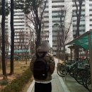 cp컴퍼니 디디쉘 다운 자켓 펀가이그레이 패딩사이즈참고!