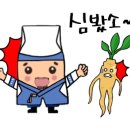 플라이코리아 네이버블로그