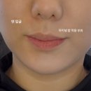 1년에 한번 5월 가정의 달 파메스테틱 프로모션