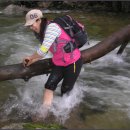 계곡이야기 이미지