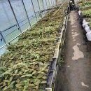 별뜨락하우스 이미지