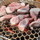 [월곶뒷고기] 술먹기 좋은곳, 나만알고 싶은 뒷고기 맛집!