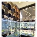 버디독 강아지분양 고양이분양 안심분양센터 서울 강서점 이미지