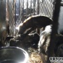 해도농장 이미지